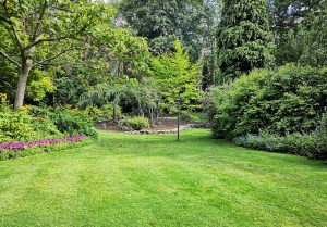 Optimiser l'expérience du jardin à Saint-Christophe-sur-Dolaison